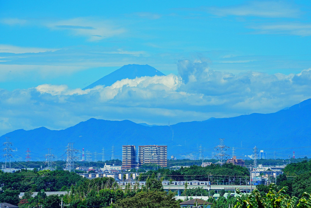 お久しぶりです　今日の富士山 ♬