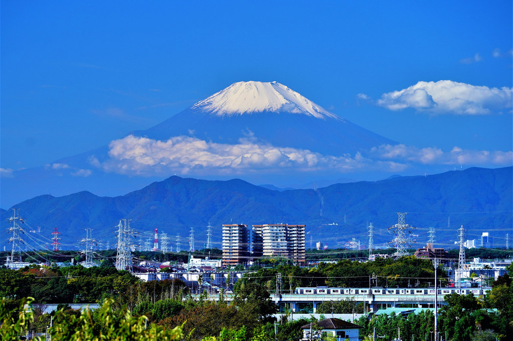 今朝はクッキリ富士山が見えました ♬