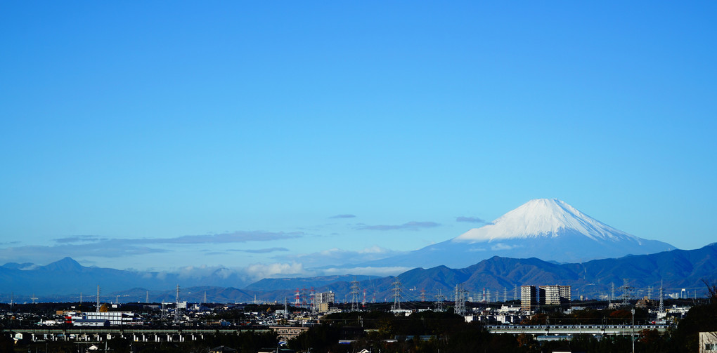 富士山を背景に相鉄線車両がいっぱい ❣