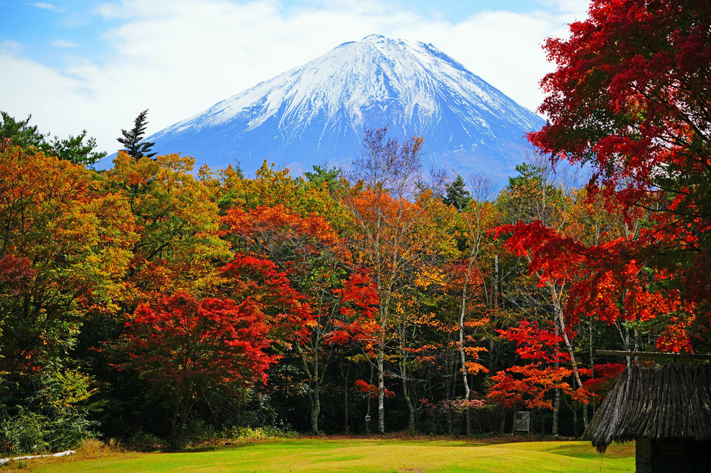 富士山と紅葉 ♫