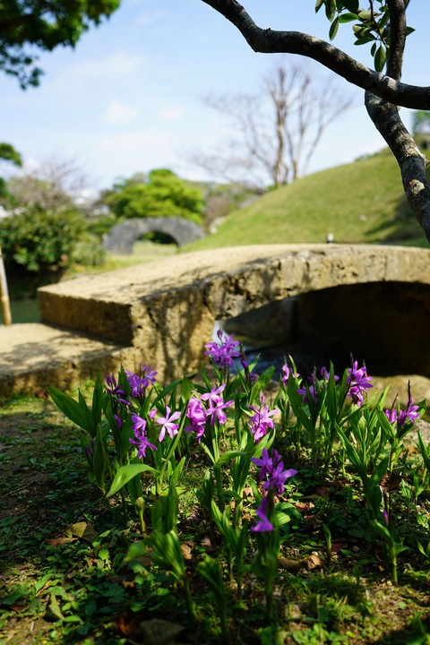 αＡcademy in Okinawa Part 1. レンズ体験会 沖縄・識名園