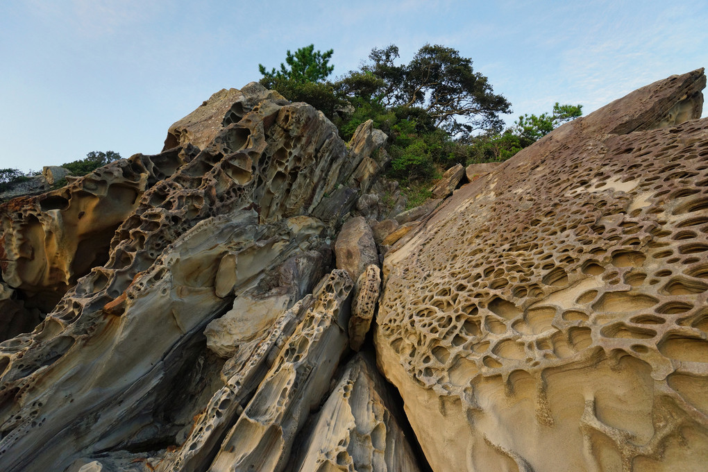 自然の造形　高知足摺竜串海岸