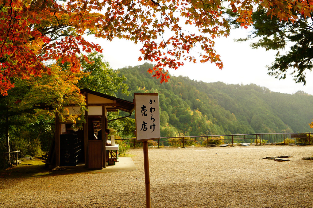 京都の紅葉 「神護寺」