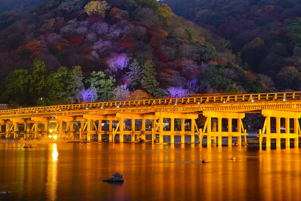 嵐山渡月橋 ライトアップ