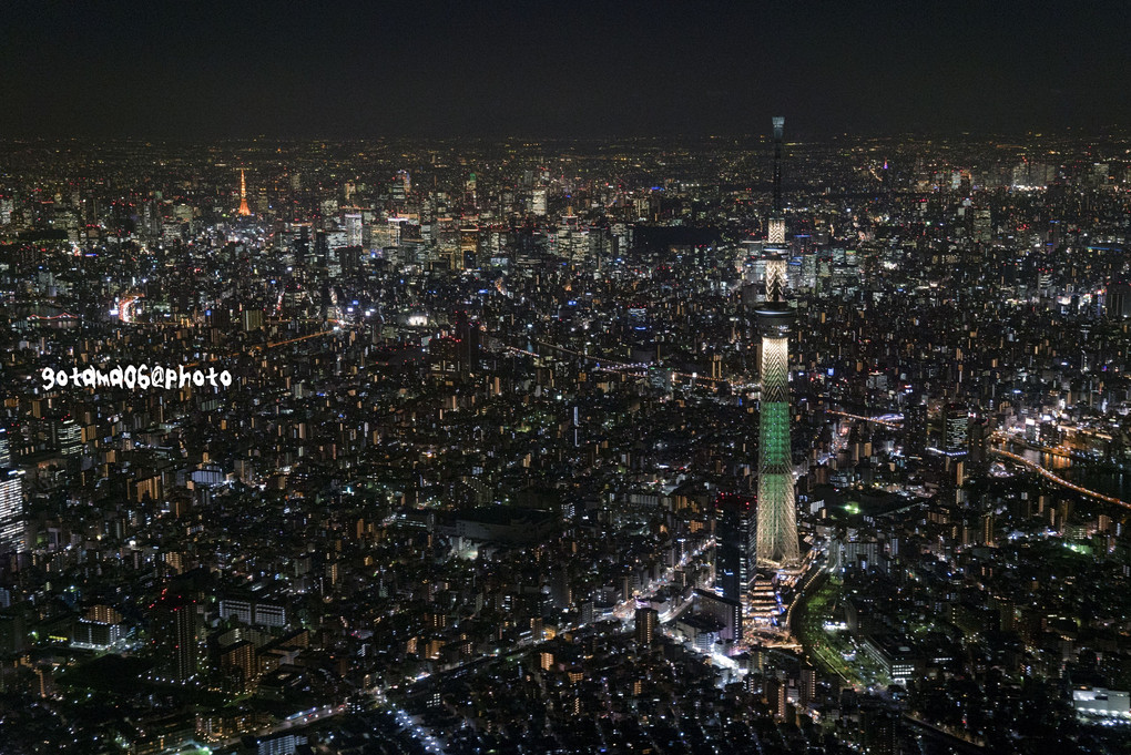 空から見る東京夜景ズ