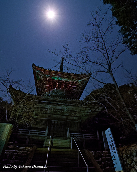 月夜の多宝塔