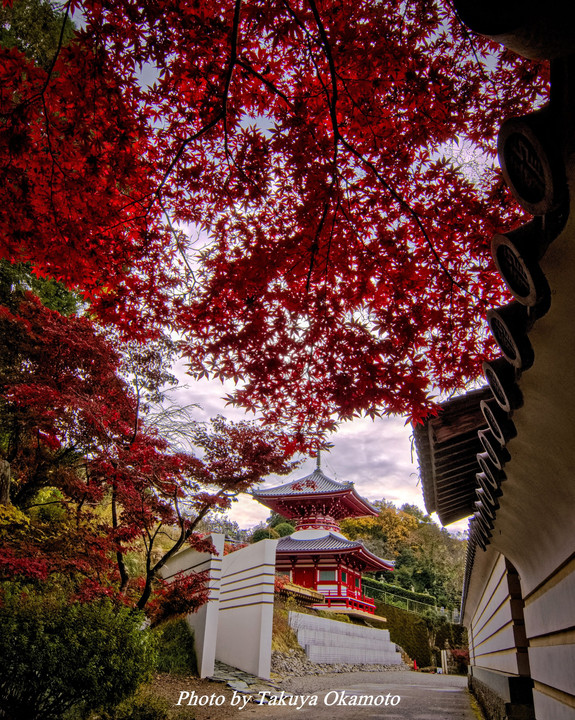 紅葉の神宮寺