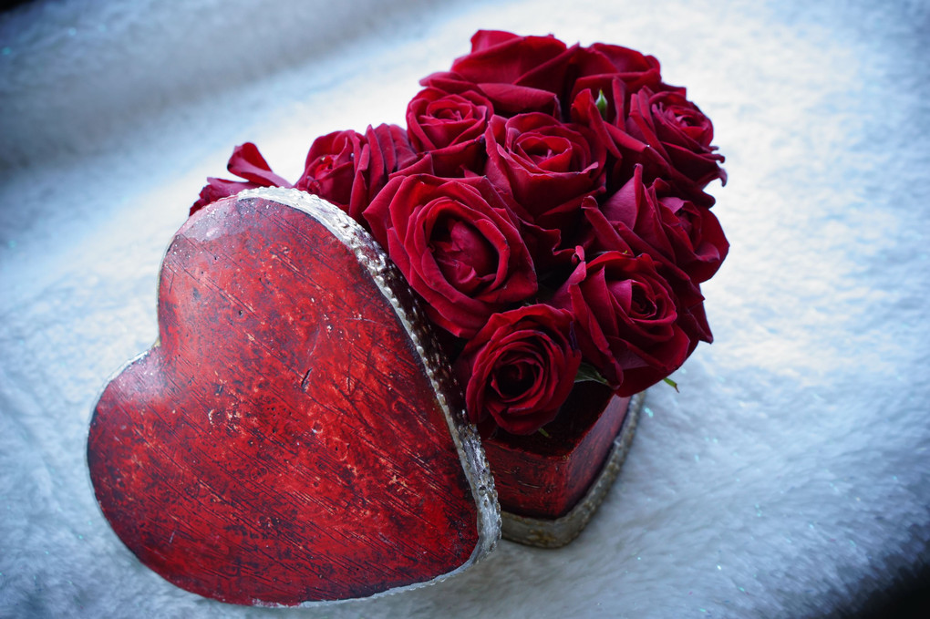 Happy Valentine’ｓ Day