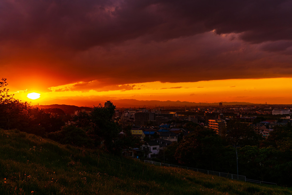 夕陽の見える丘