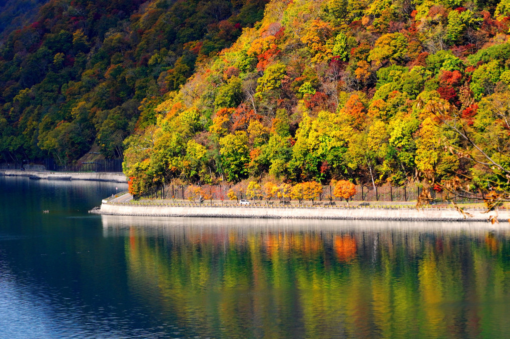 支笏湖と支笏湖の森の紅葉～１０月