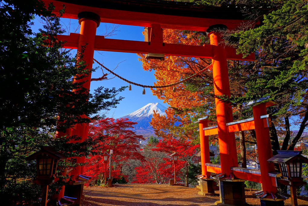 美しい日本の秋