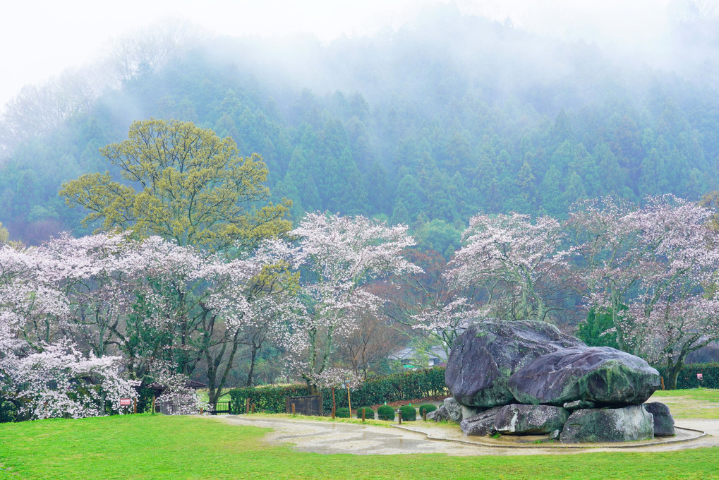 奈良の桜十景