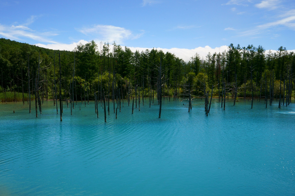 8月の青い池
