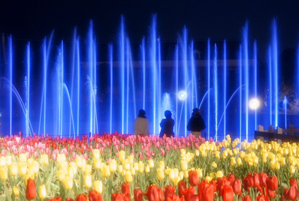 花と水と光の共演