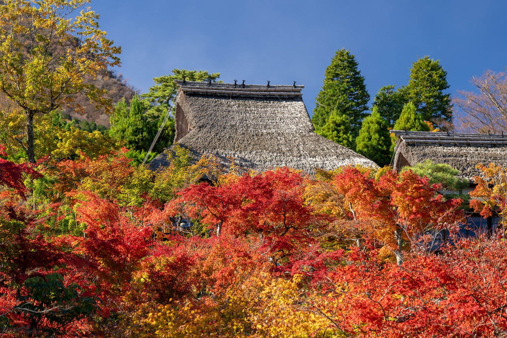 秋色に染まる日本の源風景