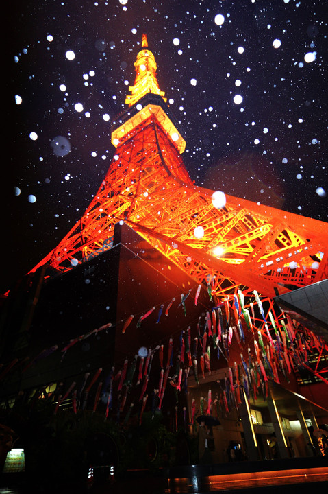 雨降る東京タワーと鯉のぼり