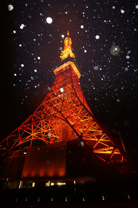 雨降る東京タワー