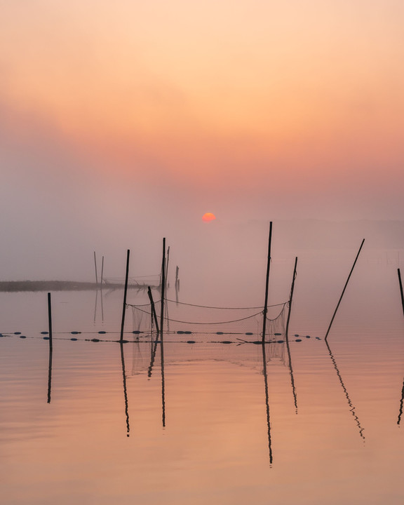 霧の印旛沼