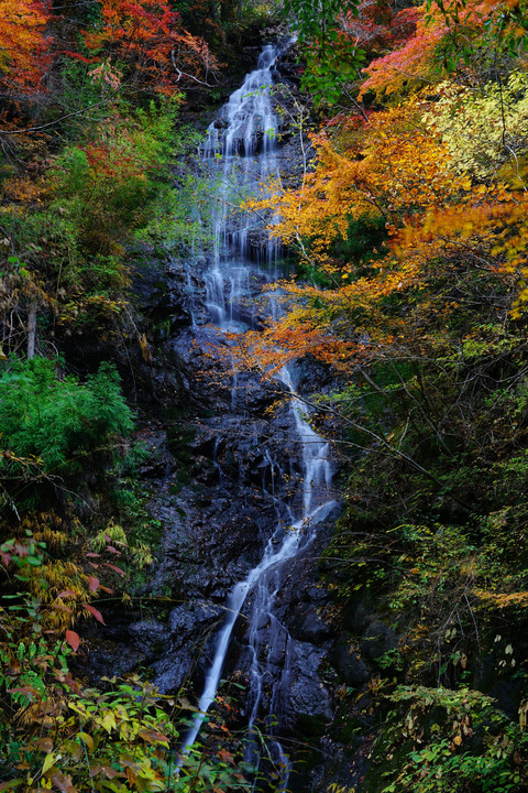 秋色に染まる観音滝