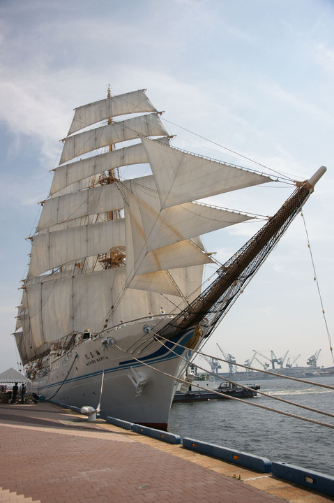神戸港１５０年記念帆船フェスティバル