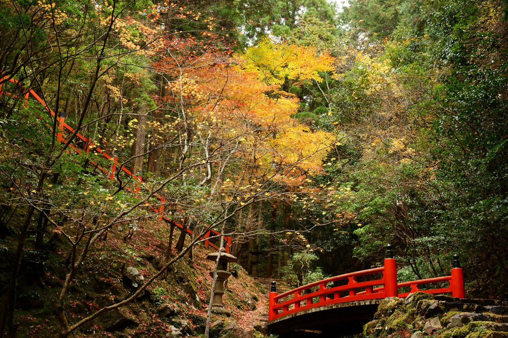 紅い橋と秋