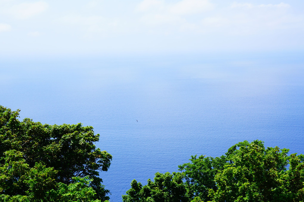 茂津多岬の眺め