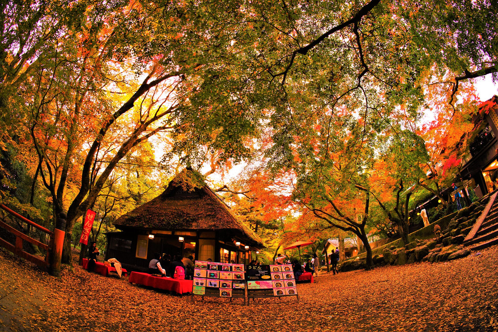 紅葉の水谷茶屋