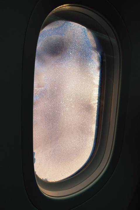 凍りついた窓