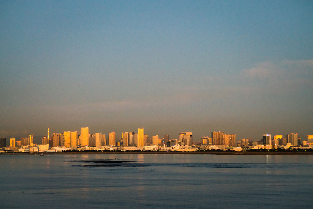 東京湾　夜明け前