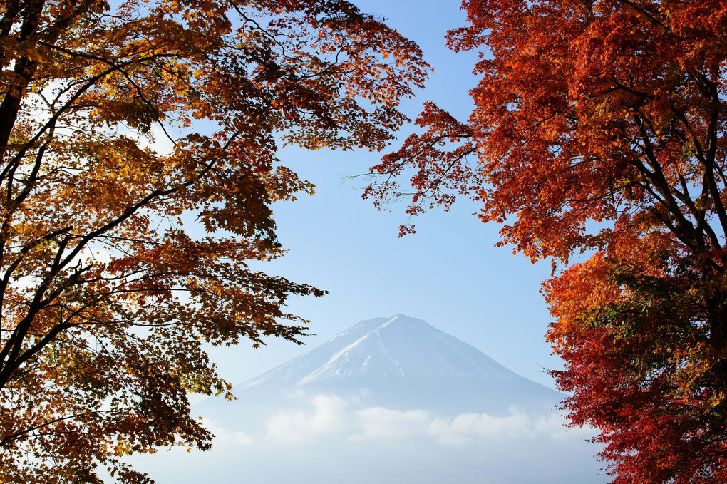 河口湖から富士山を望む