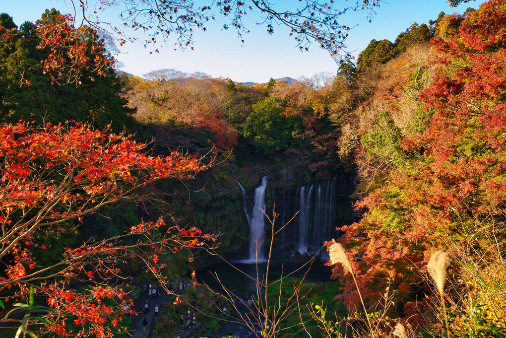 紅葉の白糸の滝