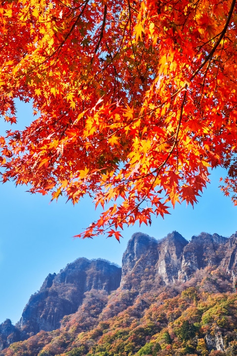 秋晴れの妙義山