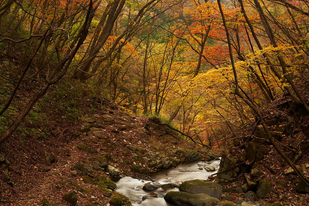 秋のマックラ滝