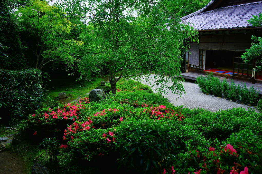 新緑の京都散策  一乗寺