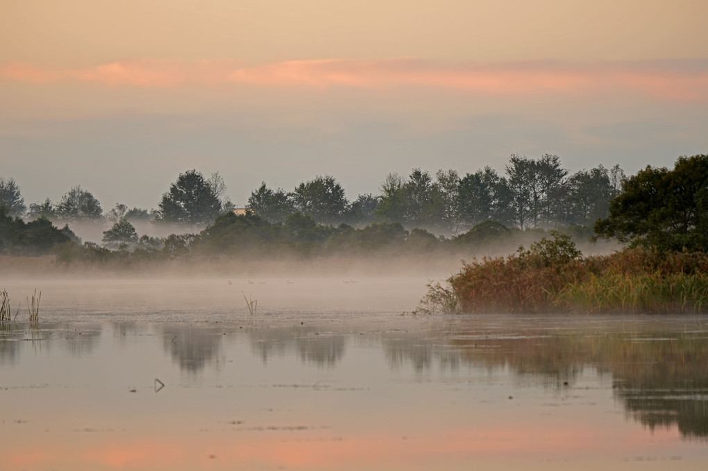 湖霧立つ朝ー１