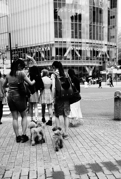 街角、、、！（82) #日常は戻ったか・渋谷#