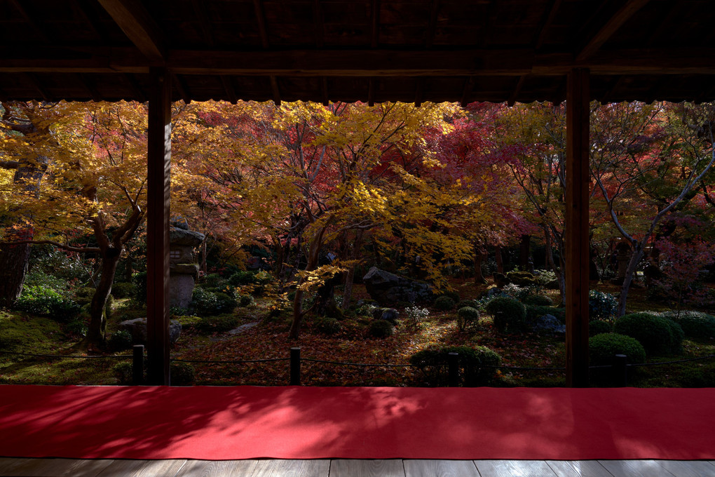 圓光寺の秋