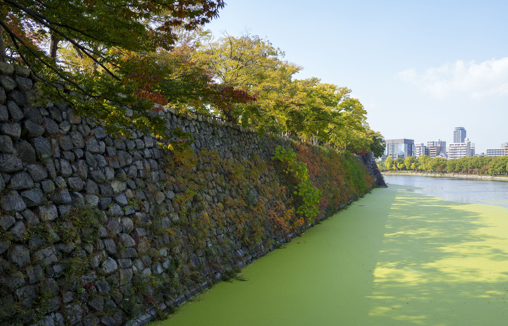 秋の大阪城の堀