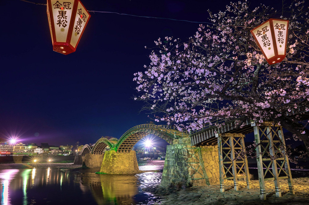 錦帯橋の夜桜