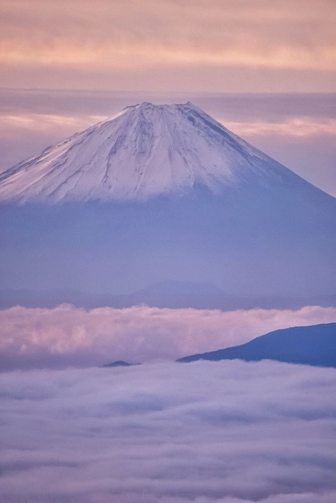 大雲海と富士