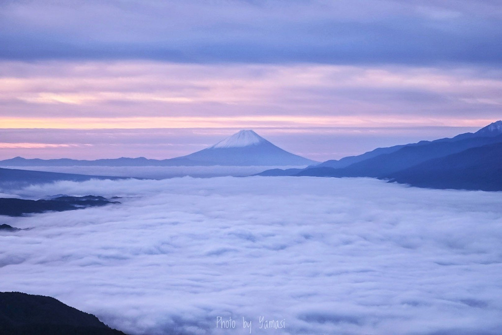 大雲海と富士