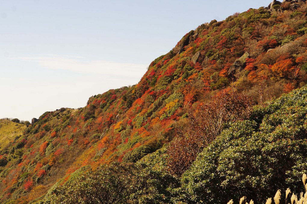 九重登山〜紅葉はいまいちだったが雲海が見えた