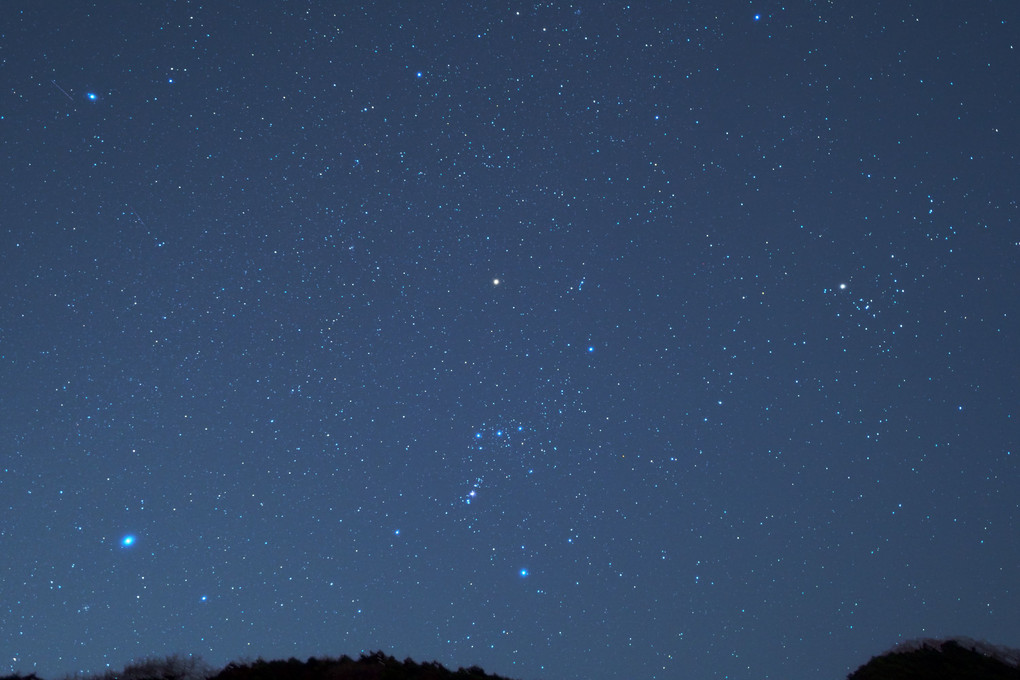 夜の森 オリオン座 Tukumon Hideさん Acafe Aの写真投稿サイト ソニー 夜の森 オリオン座 Tukumon Hideさん Acafe Aの写真投稿サイト ソニー