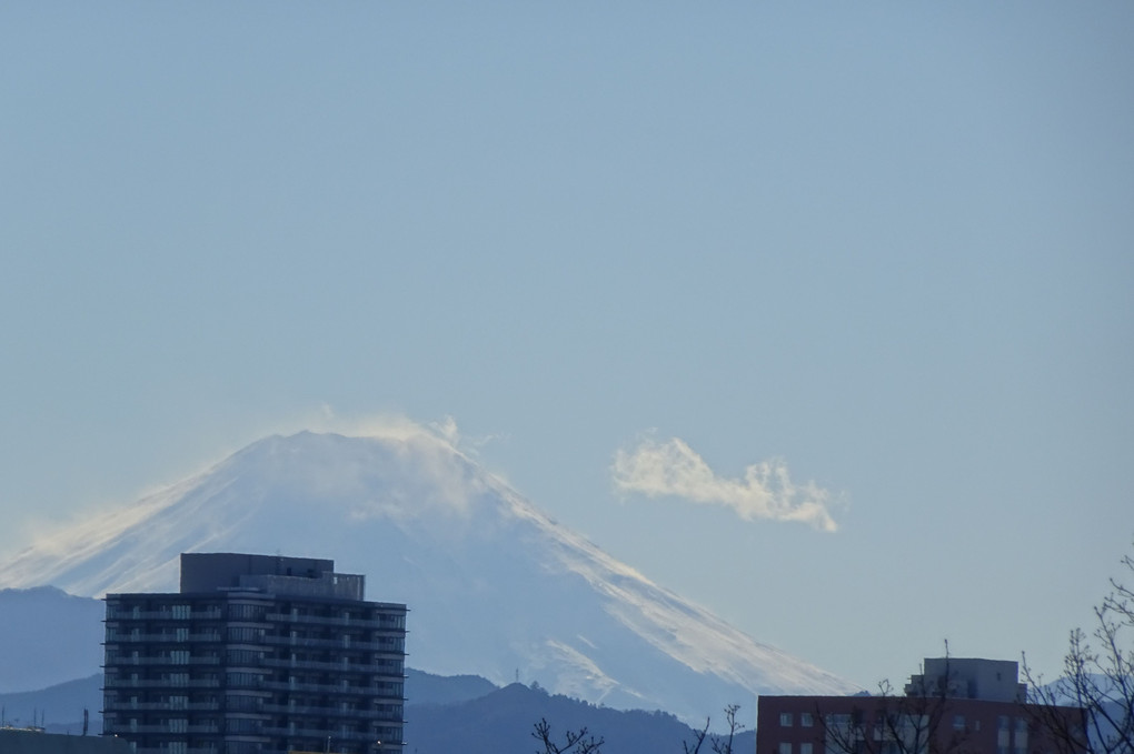 雪舞う富士