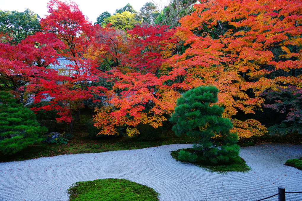 秋の庭～京都～