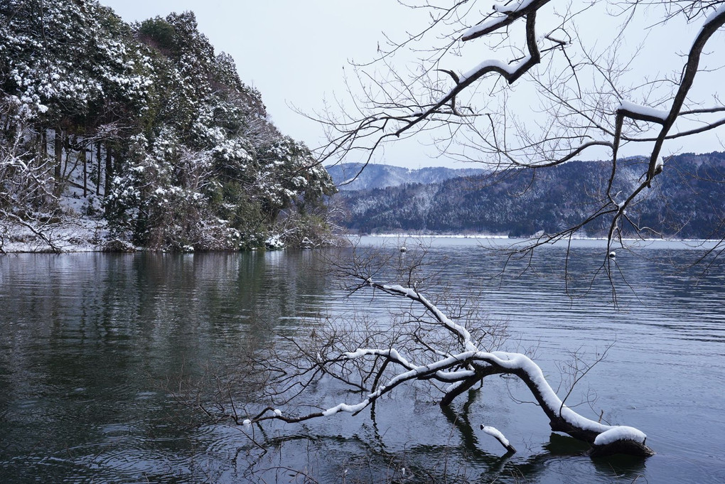 雪の余呉湖