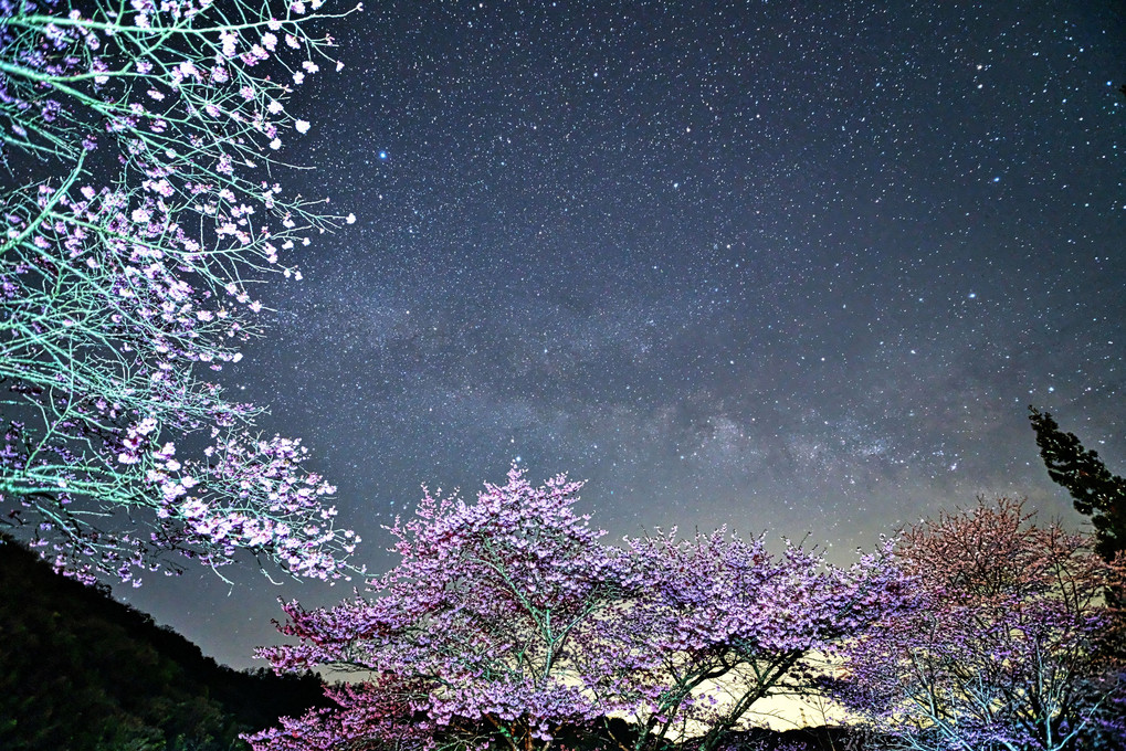 桜と天の川