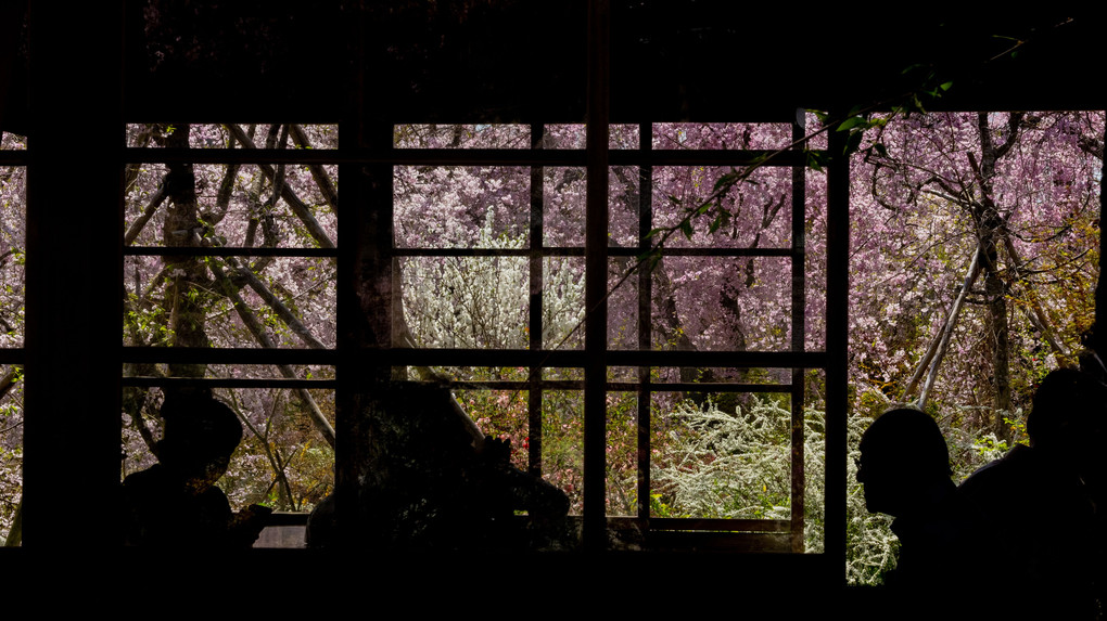 春の窓２