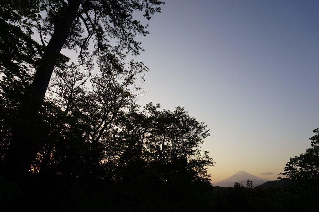紅葉林からの富士山