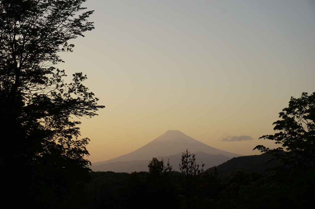 紅葉林からの富士山